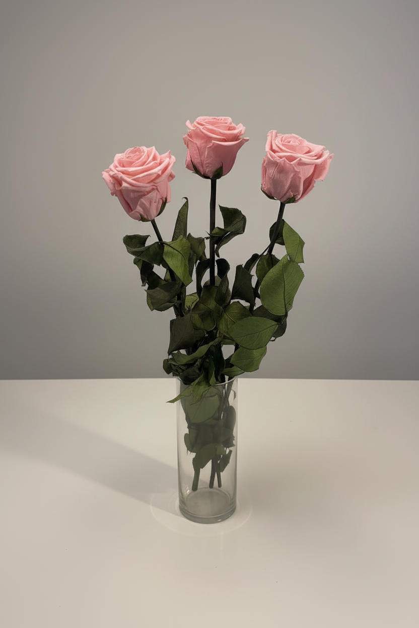 Pink roses in glass vase