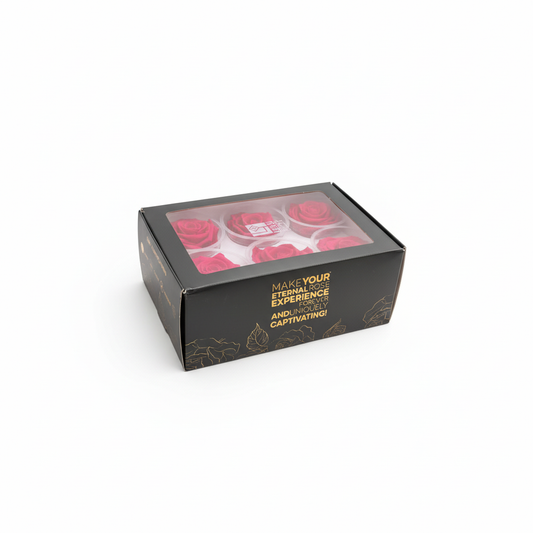 6 Pack Preserved Roses – Studio 13