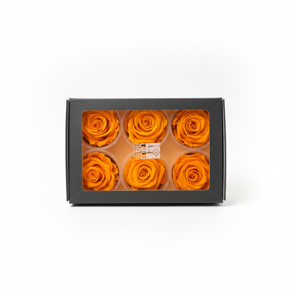 6 Pack Preserved Roses – Studio 15