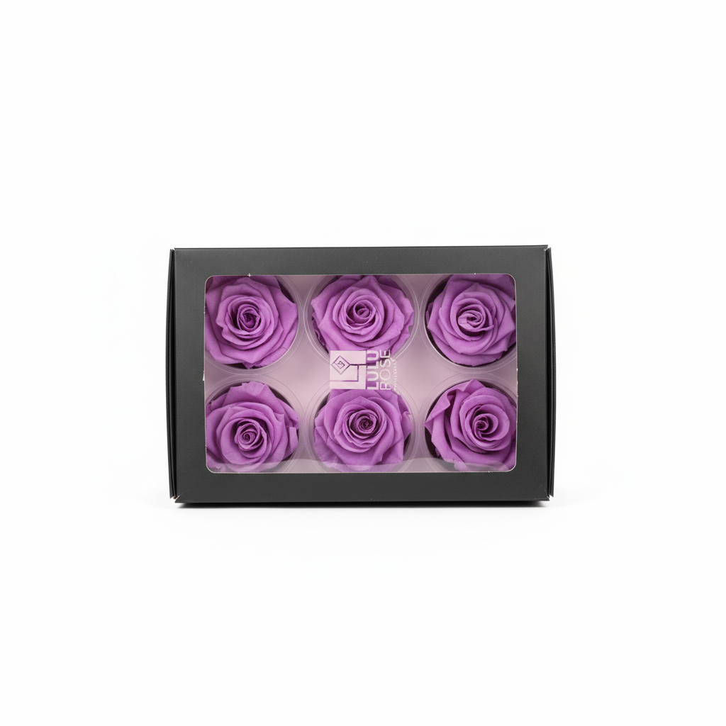 6 Pack Preserved Roses – Studio 21