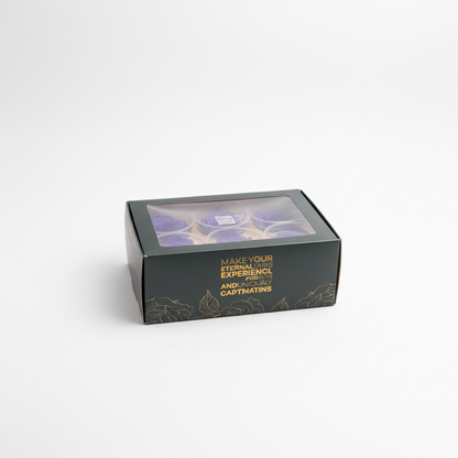 6 Pack Preserved Roses – Studio 6