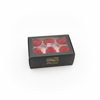 6 Pack Preserved Roses – Studio 9