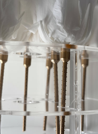 Eternal Grace-9 Forever Roses