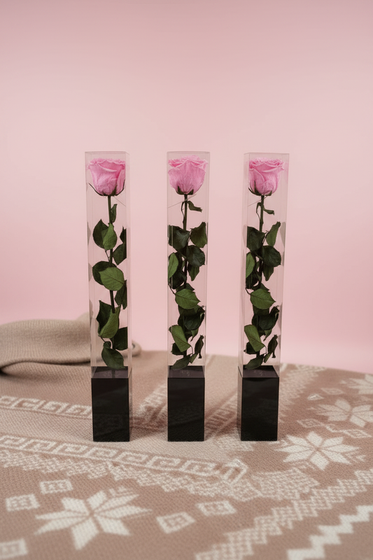 Bundle — Front Angle