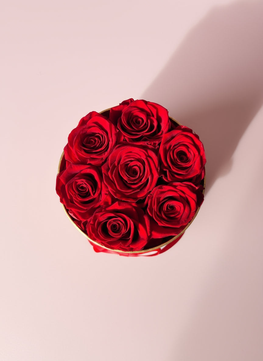 Noir Élite-7 Forever Roses