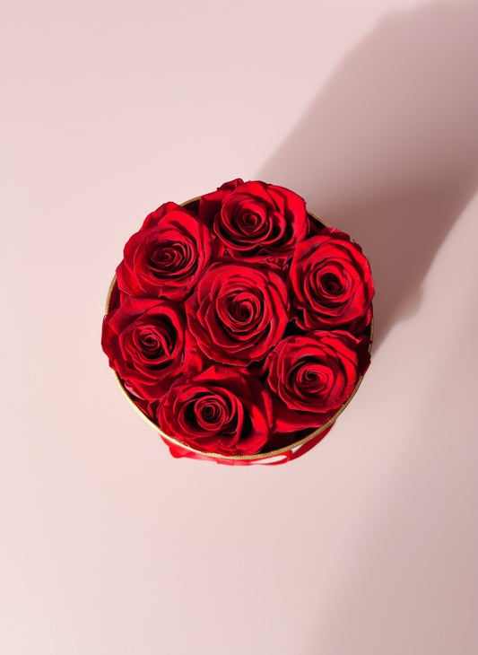 Noir Élite-7 Forever Roses