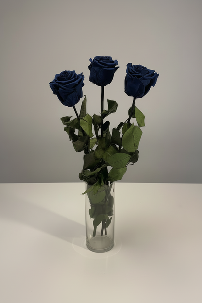 Dark Blue Roses