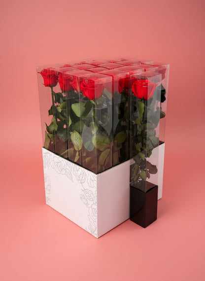1 Premium Preserved Rose
