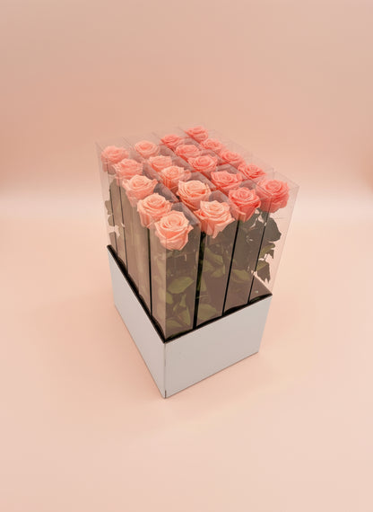 1 Premium Preserved Rose