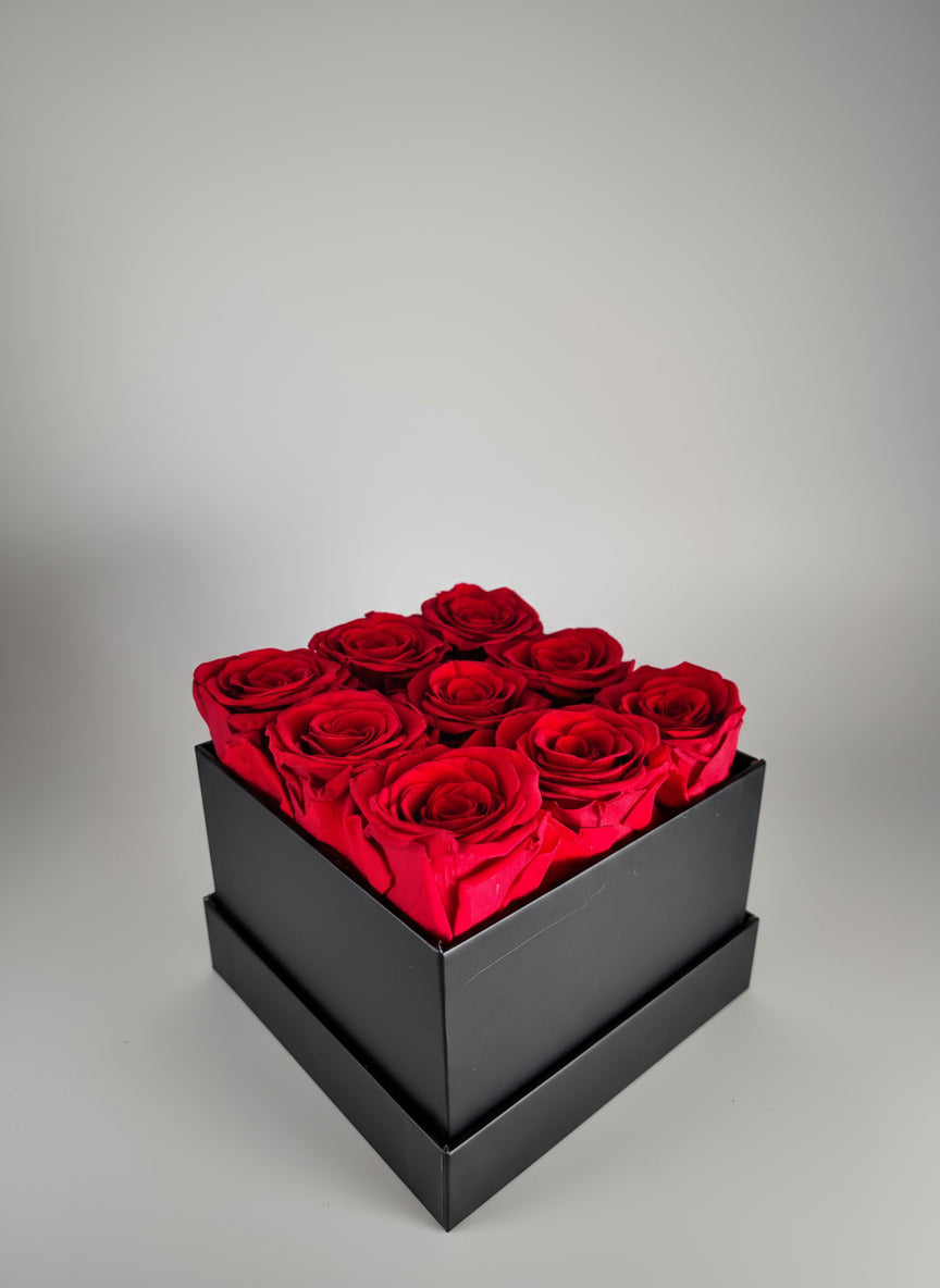 Rosalia-9 Forever Roses