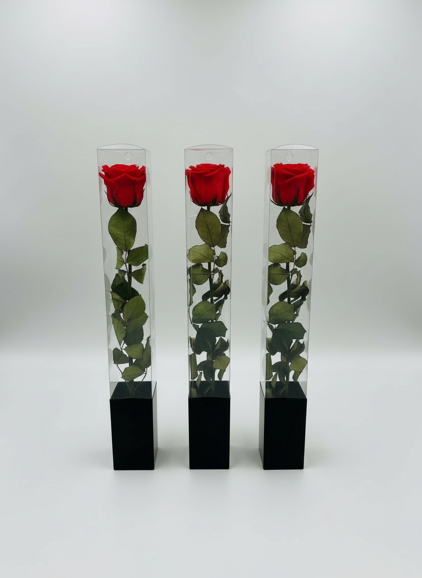 Trio of Premium Preserved Roses