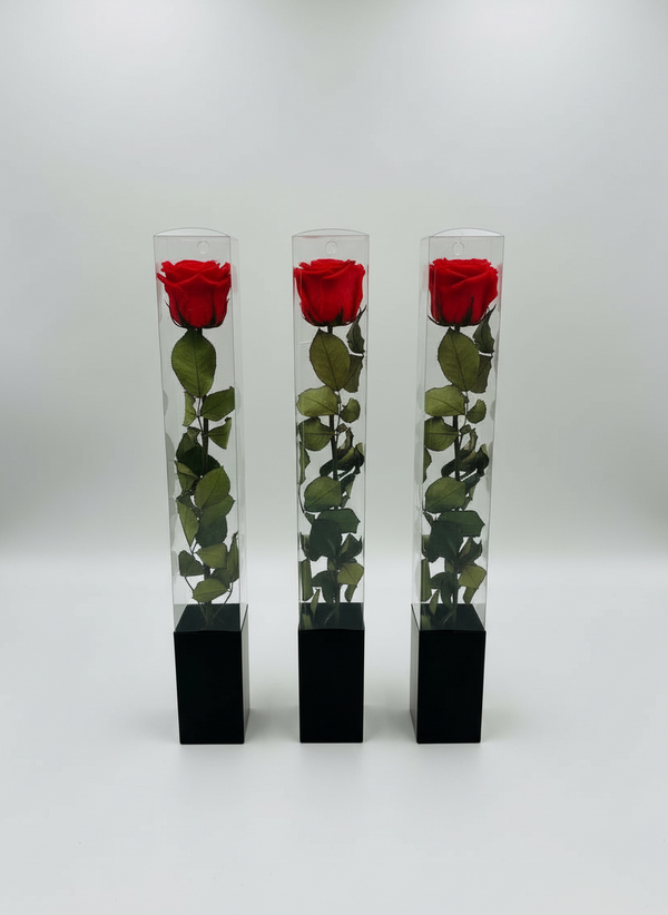 Trio of Premium Preserved Roses