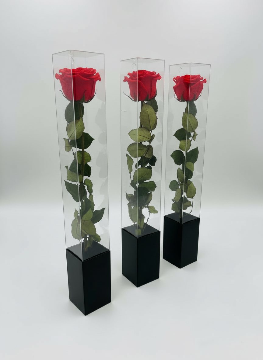 Three roses angled view