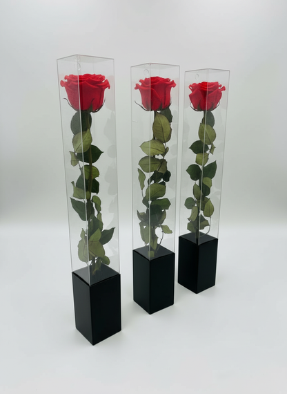 Three roses angled view