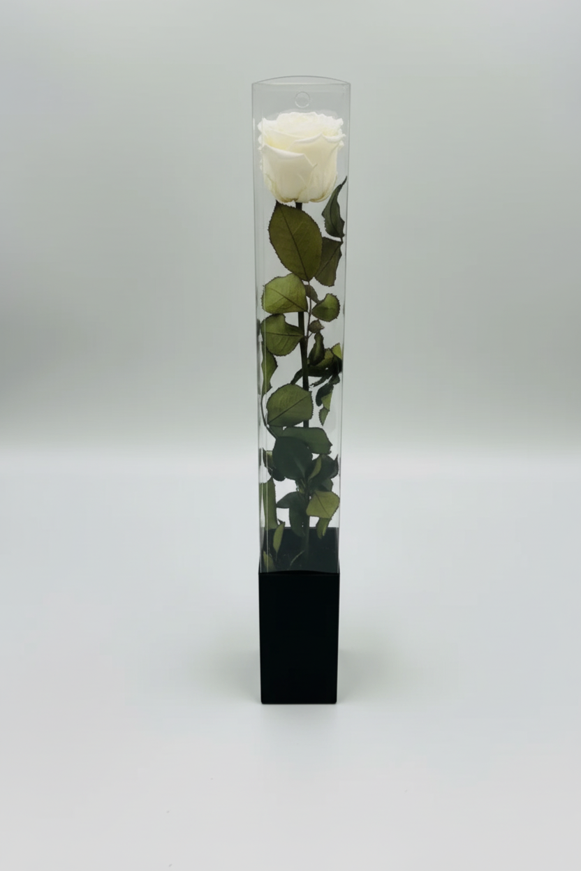 White Rose - green stem