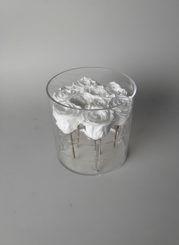 Eternal Grace-9 Forever Roses